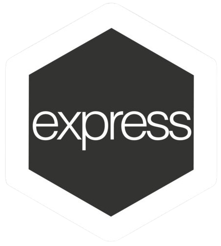 Express.js icon